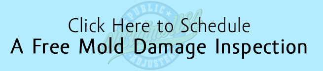 free mold damage inspection