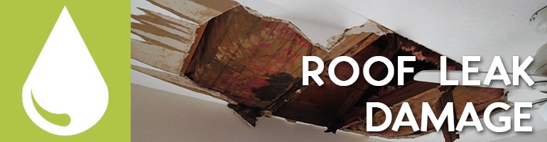 roof leak damage south florida