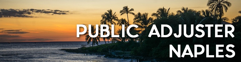 public adjuster naples